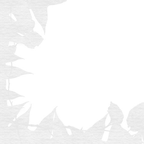 transparent leaf silhouettes with detailed patterns - Download Free Stock Videos Pikwizard.com