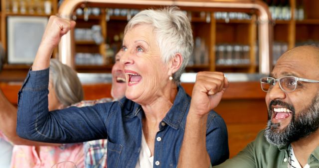 Senior Friends Cheering in Pub, Celebrating Victory and Excitement - Download Free Stock Images Pikwizard.com