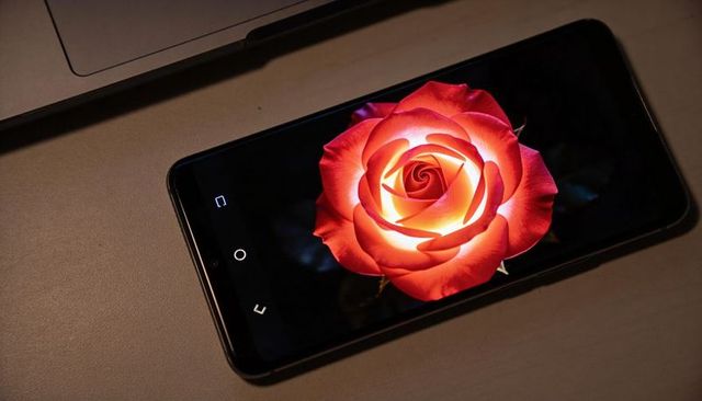 Glowing orange rose lighting smartphone display diagonally on desk for romance concept