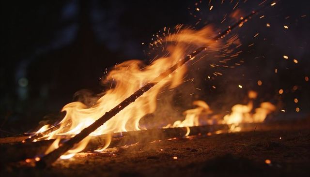 Roaring wildfire consuming forest floor with charred log, flying embers and glowing sparks
