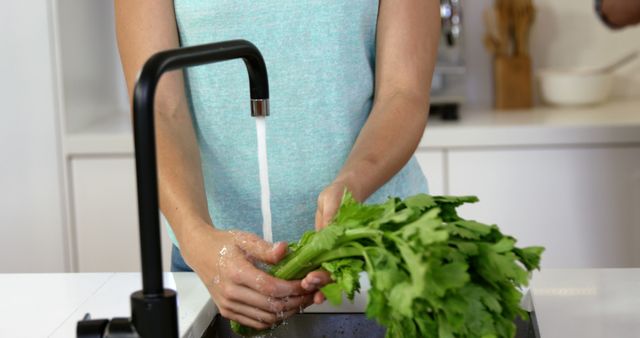 Person washing fresh celery under running water in a modern kitchen. Ideal for content on healthy eating, food hygiene, kitchen routines, and home cooking tips. Demonstrates the importance of cleaning produce before consumption.