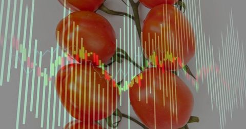 Ripe vine tomatoes overlaying stock market chart illustrating agricultural investment trends