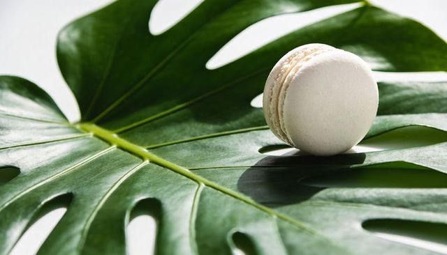 Minimal beige macaron resting on glossy monstera leaf with clean white background
