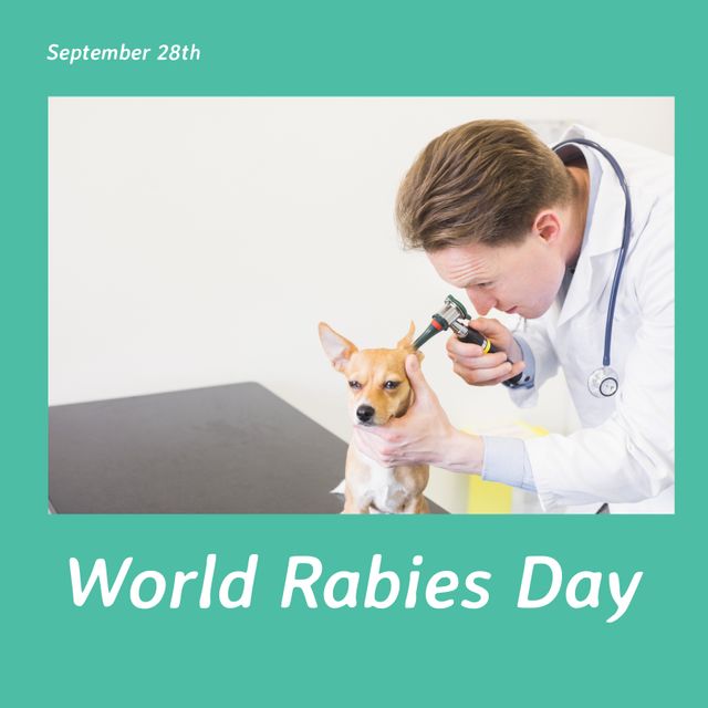Veterinarian examining a small dog, highlighting World Rabies Day observed on September 28. Useful for promoting animal health, pet care services, and awareness campaigns about rabies prevention.