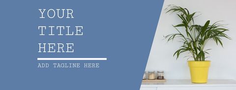 Serene Interior Design with Potted Plant for Tranquility