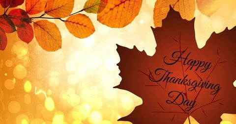 Golden bokeh thanksgiving greeting featuring red maple leaf silhouette and autumn leaves