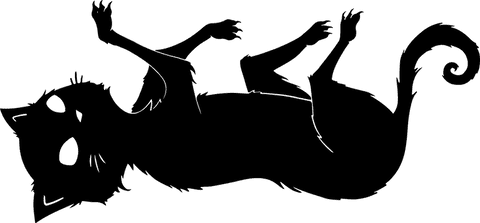 Black cat silhouette relaxing on back transparent background