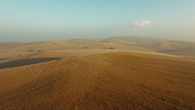 Golden rolling farmland hills with tractor tracks and lone white outbuilding at golden hour