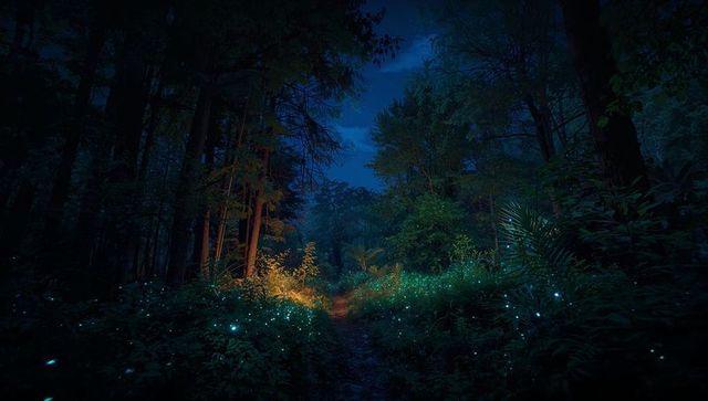Enchanted Forest Glow with Bioluminescent Plants at Night