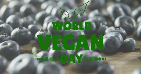 Celebration of World Vegan Day with Fresh Blueberries - Download Free Stock Images Pikwizard.com