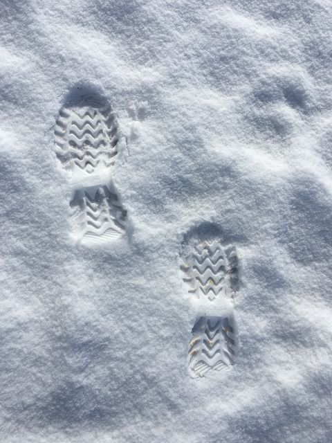 Boot prints in fresh snow showing clearly defined tread. Suitable for illustrating concepts of winter activities, outdoor hiking, and winter weather conditions. Ideal for use in winter sports campaigns, outdoor apparel marketing, or environmental conservation materials focusing on winter habitats.