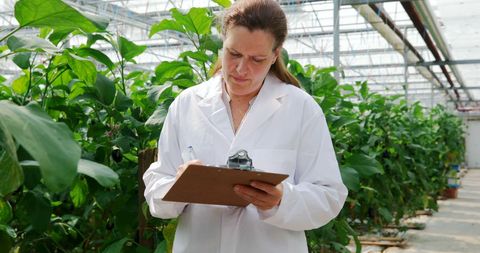 Female Researcher Analyzing Plants in Greenhouse Environment - Download Free Stock Images Pikwizard.com