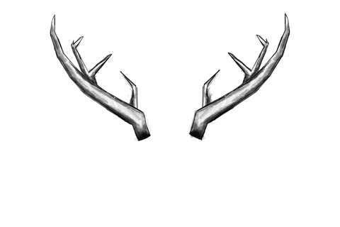 Transparent Antler Illustration with Realistic Details - Download Free Stock Videos Pikwizard.com