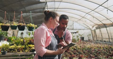Coworkers Analyzing Data on Tablet in Greenhouse