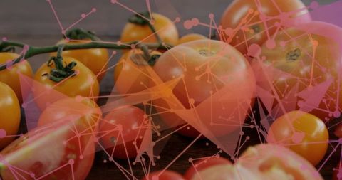 Glossy tomatoes on dark board with pink geometric network overlay for food tech visuals