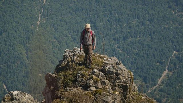 Hiker Standing on Rocky Summit Overlooking Forested Valley and Winding Trail