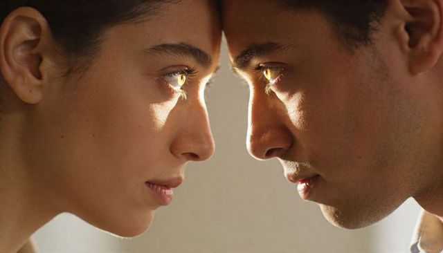 Intimate forehead touch between young couple with golden catchlights closeup portrait
