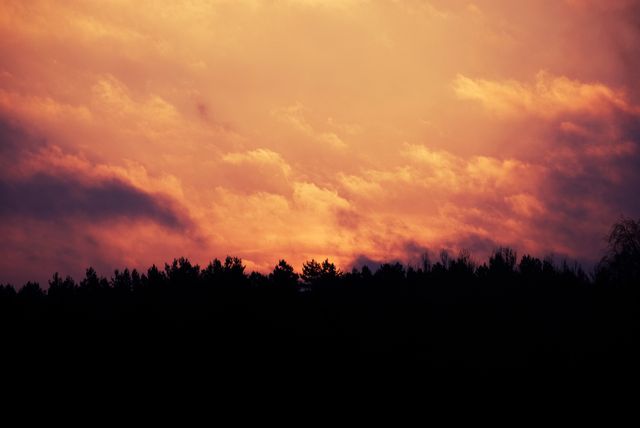 Dramatic sunset sky with contrasting silhouettes of forest trees on the horizon line. This image captures the rich colors of dusk, creating a peaceful yet striking scene that ties sky and nature together. Ideal for use in nature-themed blogs, travel channels, and relaxation apps, and inspirational backgrounds.