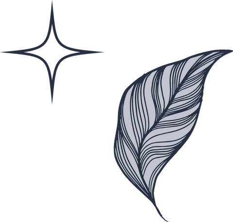 Stylized Botanical Leaf Illustration with Starburst Transparent Design - Download Free Stock Videos Pikwizard.com