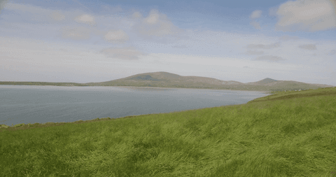 serene transparent waters with grassy landscape under blue sky - Download Free Stock Videos Pikwizard.com