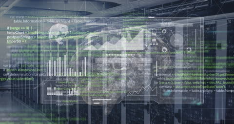 Digital Brain Overlay with Data Processing Concepts in Server Environment