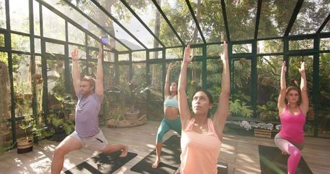 Group practicing yoga lunges in sunlit glass greenhouse for wellness and fitness retreats