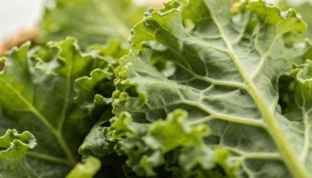 Curly Kale Close-up Showing Ruffled Margins and Prominent Veins for Healthy Food Use