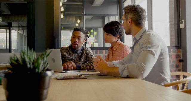 Diverse Team Collaborating Over Laptop in Modern Office - Download Free Stock Images Pikwizard.com