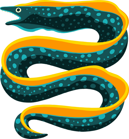 Vibrant Spotted Teal Eel with Yellow Belly on Transparent Background