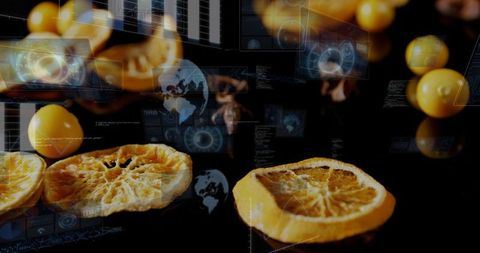 Dried citrus slices resting on glossy black surface with futuristic digital hud overlays