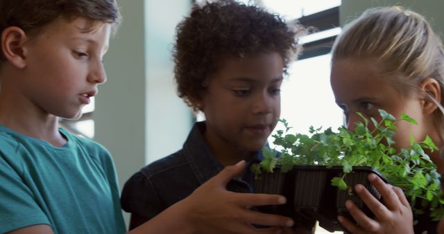 Curious Children Inspecting and Smelling Young Green Plants - Download Free Stock Images Pikwizard.com