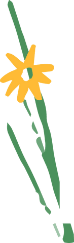 Yellow flower in flat design with transparent background