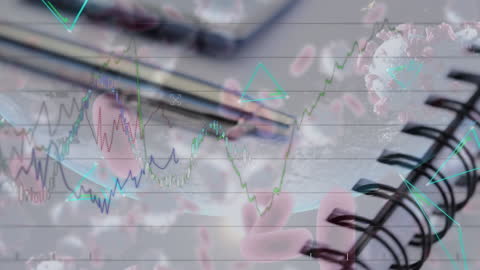 Digital Interface with Financial Data and Pandemic Elements