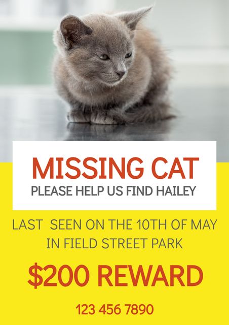 This poster template features a plea for help in finding a missing cat, offering a reward for its return. Perfect for printing and distributing in local neighborhoods, parks, and community boards, or for sharing digitally on social media and local community groups.