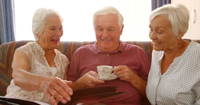 Senior Friends Enjoying Tea and Photo Album Together - Download Free Stock Images Pikwizard.com