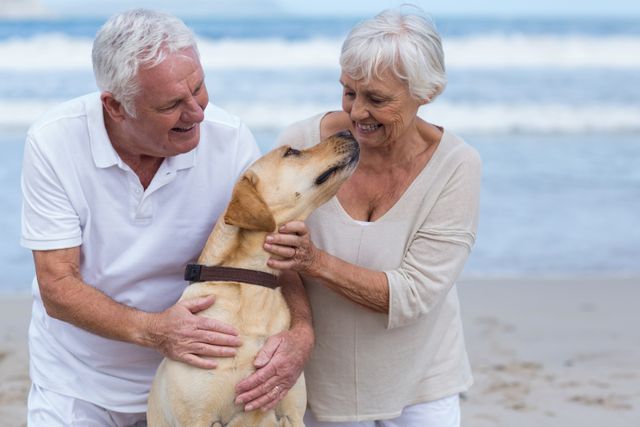 Happy senior couple playing with their dog on the beach