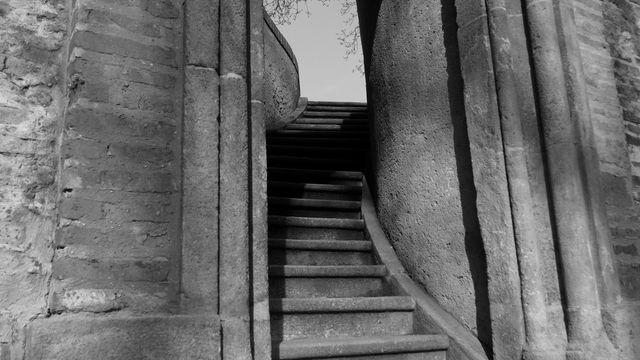 The historic stone staircase with its curved wall presents a fascinating and enchanting journey through architectural history. The black and white tones add an eerie and vintage feel, ideal for projects centered on architecture, history, and heritage. Perfect for use in travel websites, educational materials on medieval architecture, and prints for home decor emphasizing antique themes.
