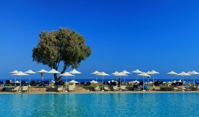 This idyllic image captures a serene luxury beach resort showcasing a tranquil pool with sun loungers and white parasols lined up, offering splendid ocean views. The lone tree adds a touch of natural beauty against a bright blue sky. Ideal for promoting travel agencies, vacation destinations, resort brochures, summer holiday advertisements, and wellness retreats. Evokes a sense of relaxation, summer leisure, and luxury travel.