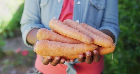 Young Girl Holding Fresh Organic Carrots in Garden