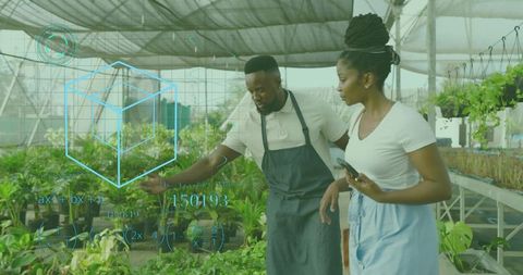 Greenhouse workers using smartphone and augmented reality for plant care training