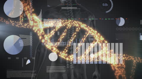 Digital Data Processing with DNA Strand and Circles