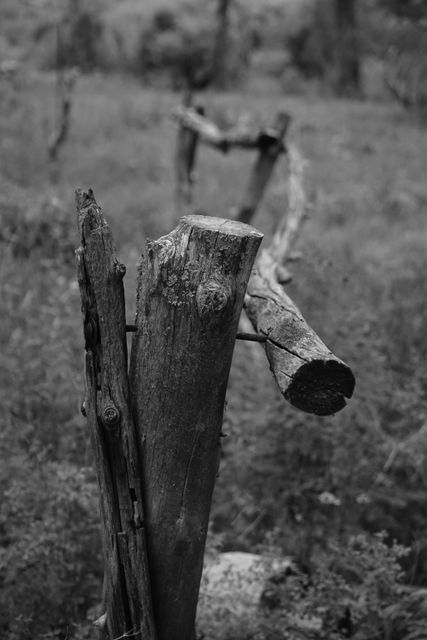 Depicts an old, broken wooden fence in an overgrown field, suitable for themes related to abandonment, decay, rustic scenery, countryside, nostalgia, rural landscapes, or the passage of time. Can be used in articles or artwork on historical landscapes, retro themes, or natural decay.