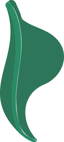 Abstract Green Fluid Shape with Curved Design on Transparent Background - Download Free Stock Videos Pikwizard.com
