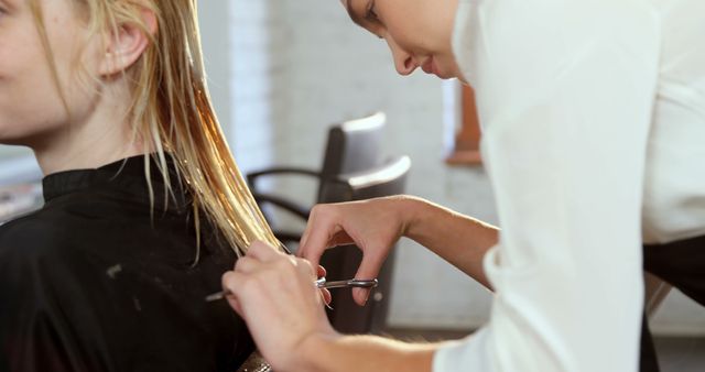 Hairstylist giving haircut to her client 4k