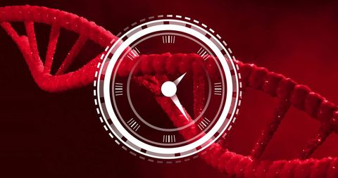 Clock overlay on red dna strand symbolizing genetic time