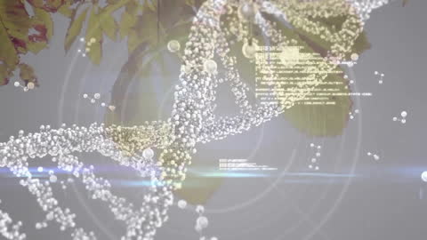 DNA Strand Visualized with Digital Data and Autumn Leaves