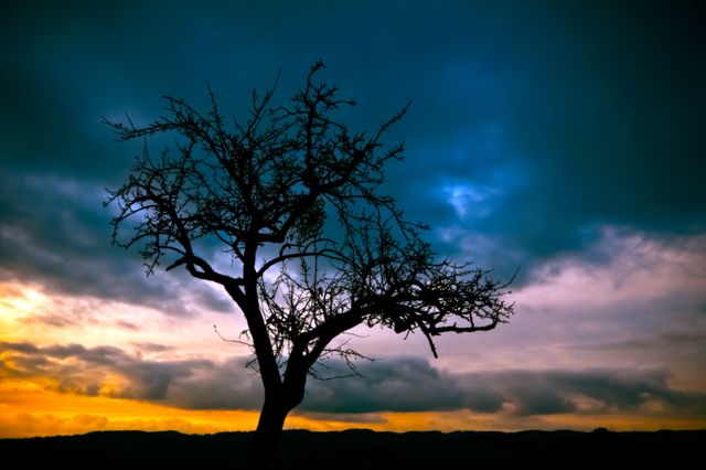 Solitary tree stands tall under a vibrant, dramatic sky at sunset. This image depicts the beauty of nature and the solitude of an isolated tree amidst a colorful dusk. Ideal for use in environmental articles, nature blogs, motivational posters, and backgrounds for inspirational messages.