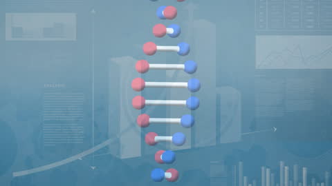 Digital Concept of DNA Strand and Data Analysis