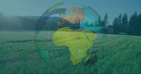 Translucent Globe Overlay in Serene Meadow Landscape