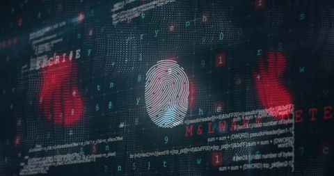 Digital Fingerprint on Data Making Secure Connection - Download Free Stock Images Pikwizard.com